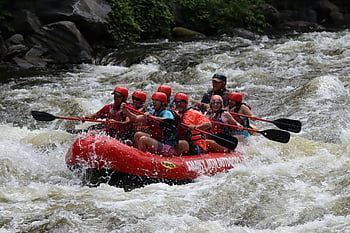 whitewater rafting, river rapids, paddles, life vests, group activity, thrilling experience, outdoor adventure, rafting experience, river rafting, people with paddles, boat adventure