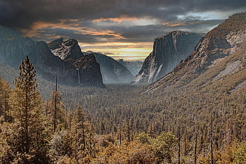 yosemite, zonsondergang, Bos, Nationaal Park, vallen, bergen, Verenigde Staten van Amerika, natuur, landschap
