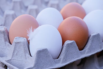 eggs, chicken Eggs, chicken Product, food