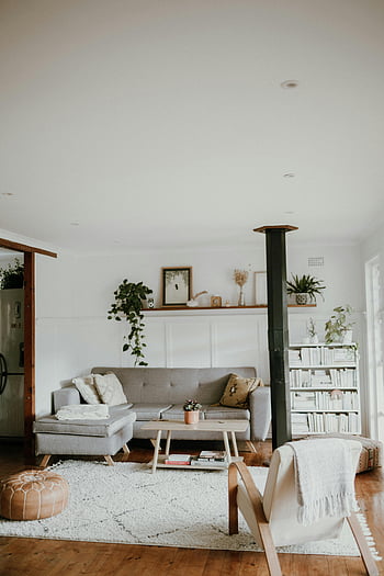 camera de zi scandinavă, Decor neutru, plante de interior, canapea, scaun, Primitor cald, raft de cărți, podea de lemn, covor alb, Spațiu confortabil, mobilier modern