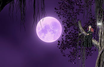 fairy, queen, fantasy, moon, full Moon, night, moonlight, trees, leaf, lantern, fairytale