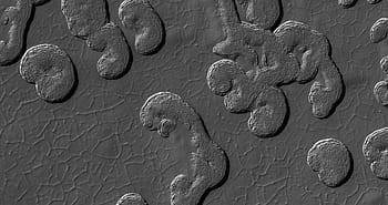 Mars, nasa, jpl, MRO, výšce, univerzitě v arizoně, Věda, astronomie, krajina, geologie, Jižní polární zbytkový čepice