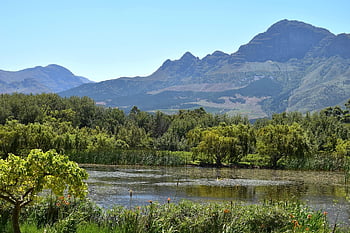 wine Farm, western Cape, winelands, tourism, wine, lifestyle, cape Winelands, leisure, nature, dam, summer