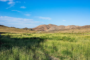 grass, mountains, nature, landscape, mongolia, steps