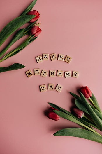 Mother's Day, tulips, letter tiles, pink background, elegant greeting, happy mothers day, floral arrangement, scrabble tiles, spring flowers, holiday card, gift idea