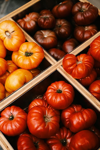 ripe tomatoes, heirloom tomatoes, red tomatoes, yellow tomatoes, brown tomatoes, wooden crates, vibrant assortment, food photography, different colours, fresh produce, organic vegetables