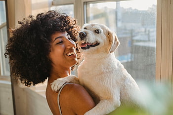 cheerful black woman, cute Labrador, embracing dog, near window, smiling woman, fluffy dog, warm embrace, at home, indoor scene, pet owner, happy moment