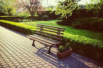empty bench, garden, wooden bench, sunlit garden, lush greenery, peaceful scene, outdoor seating, green plants, paved path, natural setting, serene environment