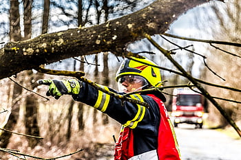 fire Fighters, storm, tree, wind, storm Damage, fire Truck, nature, fire Service, firefighter, blue Light
