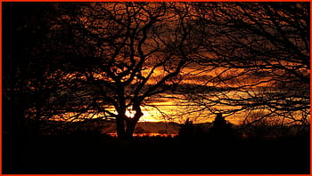 sunset, Wheelock, Rail, Trail, Sandbach, Cheshire, wildlife, nature, terry, hughes
