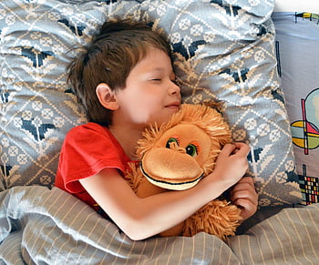 dream, baby, boy, sleeping With A Toy, vacation, kids, portrait, sweet Dream, a Child's Dream, bed, dreams