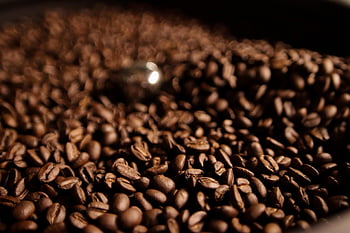 káva, fazole, pražení, kofein, opečený, kávový šálek, aroma, napít se, espresso, povzbuzující, pohár