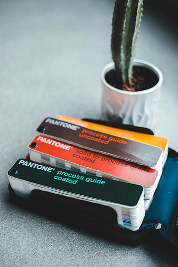 Pantone color charts, potted cactus, minimalist composition, modern composition, color guides, process guide, solid to process guide, coated, uncoated, design tools, studio setup