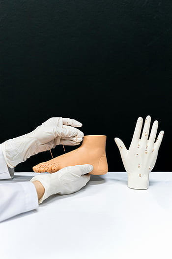 acupuncture, foot model, hand model, anatomical models, therapy, needles, detailed view, medical gloves, alternative medicine, healthcare, treatment