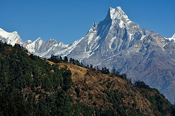 les montagnes, sommet, paysage, des arbres, forêt, de pointe, couvert de neige, chaîne de montagnes, scénique, la nature, himalaya