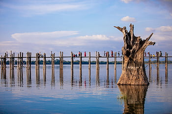 jezero, dřevo, strom, voda, vodní odraz, turistická atrakce, lávka, destinace, mezník, scenérie, u bein
