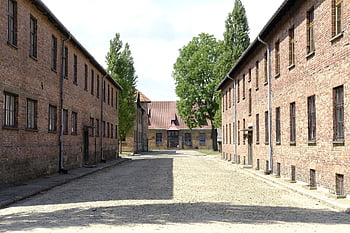 Birkenau, transport, wojna, Polska, auschwitz, muzeum, historia, obóz, pamięć, całopalenie, więzienie