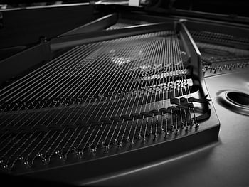 corde per pianoforte, avvicinamento, strumento musicale, bianco e nero, Foto dettagliata, design intricato, artigianato, Interni per pianoforte, strumento a corda, Meccanica del piano, Dettagli per pianoforte