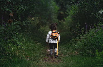 girl, path, walking, child, kid, forest, little Girl, adventure, young, female, cute