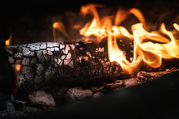Tűz, log, forró, éget, égő, tüzet, grillezés, meleg