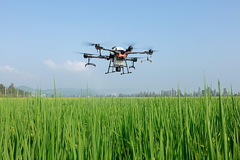 dji, trubec, drone na ochranu rostlin, zemědělské půdy, zemědělství, Moudrost Zemědělská, Chytré zemědělství, Prevence much, Stroj na ochranu rostlin, zemědělských dronů, Letadla pro boj s drogami
