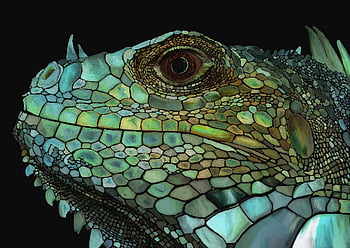 Dragão, lagarto, digital, pintado, esmeralda, multicolorido, selva, lindo, exótico, animais selvagens, tropical