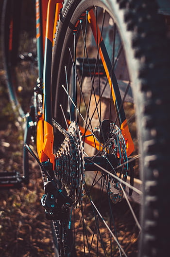 Mountain bike, bicicletta, gli sport, pneumatico, davanti, dettaglio, bike, Ciclismo, stile di vita, attività, stile