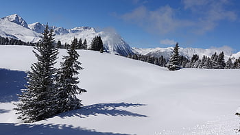 χειμώνας, χιόνι, δάσος, βουνά, brigels, graubünden