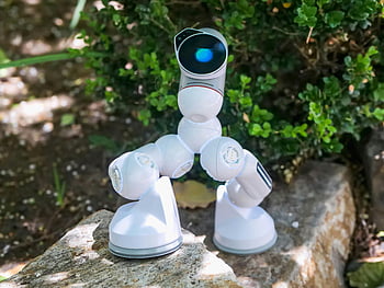 bílá robot hračka, hnědá skála, elegantní robotické zařízení, pokročilá technologie umělé inteligence, venkovní nastavení, robotické technologie, hračka robot, umělá inteligence, venkovní robot, Moderní robotika, robot na skále