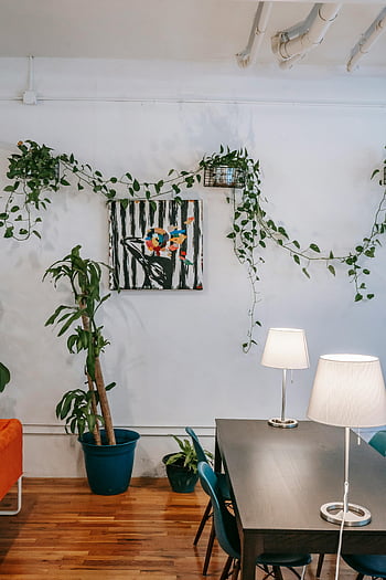Stylový útulný pokoj, Moderní byt, obývací pokoj, pokojové rostliny, umělecká díla, Útulné sezení, moderní dekor, stolní lampy, dřevěná podlaha, závěsné rostliny, barevné malování