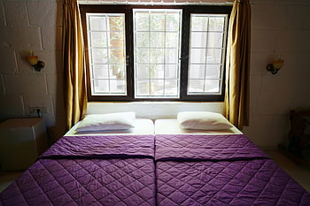 bed by the window, purple bedding, natural light, warm decor, inviting bedroom, window view, cozy bedroom, purple quilt, bedroom with window, natural lighting, warm bedroom