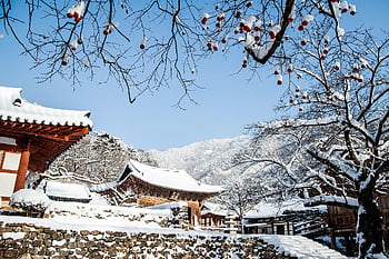 chrám, Korea, zimní, sníh, krajina, sekce, buddhismus, cestovní ruch, cestovat, mono, Příroda