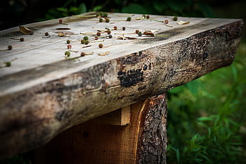 panchina, Panchina di legno, banca, posto a sedere, legna, riposo, luogo di riposo, rilassare, parco, giardino
