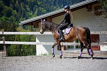 kůň, dívka, Příroda, lekce jízdy na koni, poník, jezdecký poník, jezdecký, koňský, zvíře, hnědý kůň, Pony Ride