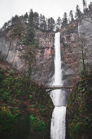 multnomah cae, Oregón, Estados Unidos, cascada pintoresca, barranco rocoso, bosque exuberante, puente de madera, belleza natural, exploración al aire libre, paisaje escénico, destino de viaje