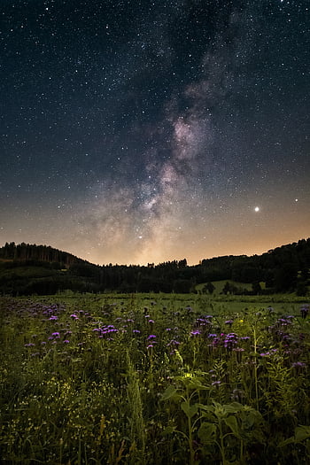stjernehimmel, blomst baggrund, blomst eng, nat, Mælkevejen, landskab, univers, blomster, eng, galakse, astronomi