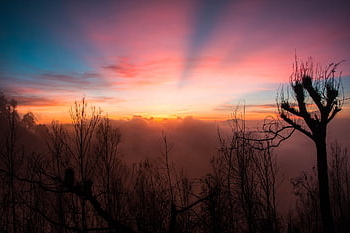 Alba, bromo, momento, Indonesia, mattina, natura, paesaggio, montagna, Giava, viaggio, cratere