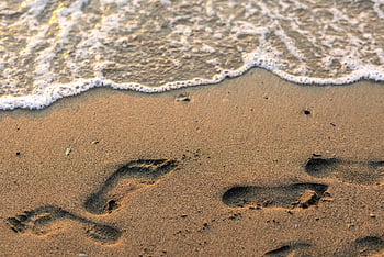 footprints, beach, sand, water, ocean, sunset, nature, footprint