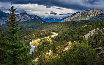forest, river, mountains, panorama, trees, cloudy, woods, rocky Mountains, national Park, landscape, scenic