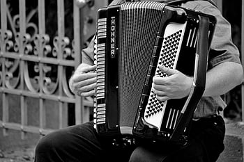 akordeon, pouliční muzikant, Černý a bílý, ve stupních šedi, horner, hudební nástroj, ruce, hraní, fotografie, hudebník, nástroj