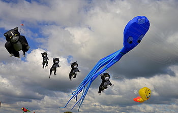 dragon, kite Climbing, autumn Weather, kite Flying, wind, fall, fun, flying, windy, flurrykite, paper Kite