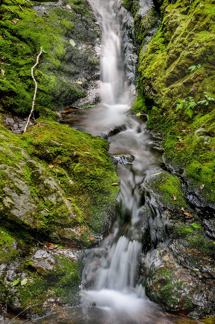 vodopád, padá, park, Fundy národní park, Příroda, Kanada, cestovat, krajina, národní, fundy, cestovní ruch