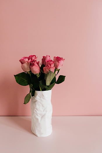 rosa Rosen, weiße Vase, Strauß, Blumengesteck, rosa Hintergrund, strukturierte Vase, stilvoller Arrangement, romantische Blumen, Valentinstag, Blumendekor, Pink und Weiß