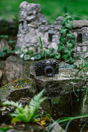 chinon, CM-4S, filmové kamery, sbírka, vinobraní, cestovat, Evropa, fotografování, Příroda, kámen, mech