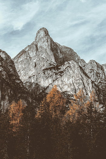 šedá hora, horský vrchol, Podzimní stromy, zatažená obloha, Ohromující krajina, přírodní scenérie, podzim listí, skalnatý terén, venkovní fotografie, příroda pozadí, pohled