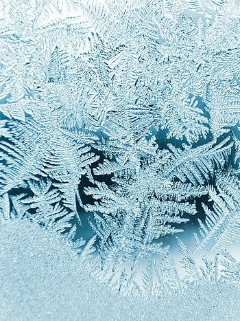 frost patterns, window frost, ice patterns, Limbaži Latvia, winter frost, detailed frost, window ice, frost art, frost design, ice crystals, winter window