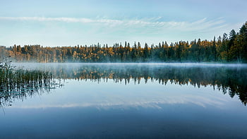 Finnish lake, calm lake, morning mist, sunrise reflection, tranquil forest, trees near lake, forest reflection, peaceful scenery, nature landscape, misty morning, sunrise lake