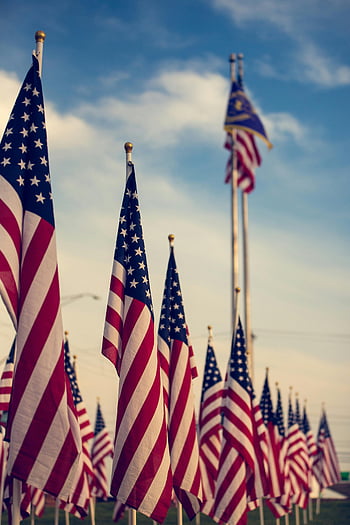 bandiere americane, messa a fuoco selettiva, bandiere sui pali, sventolando bandiere, cielo blu, patriottismo, Flag multiple, scena all'aperto, esposizione della bandiera, Patriottismo americano, pali della bandiera