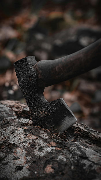 axe in tree bark, weathered axe, lodged in stump, forest setting, rugged texture, tree stump, outdoor scene, rustic tool, natural environment, axe head, wood texture