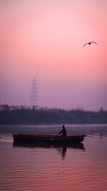 man rowing, boat, river, India, dawn, colorful sky, tranquil scene, silhouette, rowing boat, river scene, bird flying